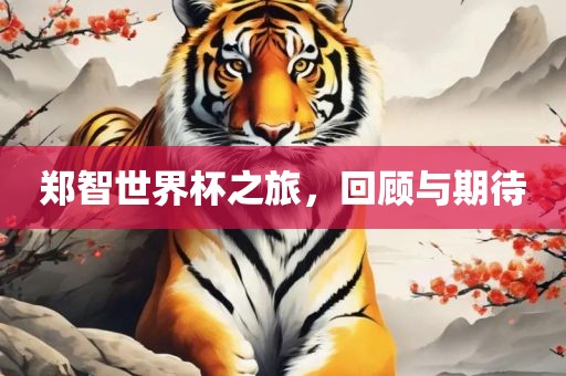 郑智世界杯之旅，回顾眉山市正发家政服务有限公司与期待