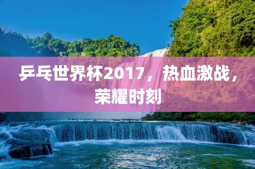 乒乓世界杯2017，热血激战，荣耀时刻眉山市正发家政服务有限公司