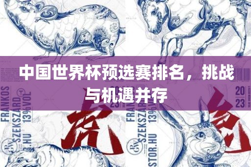 中国世界杯眉山市正发家政服务有限公司预选赛排名，挑战与机遇并存