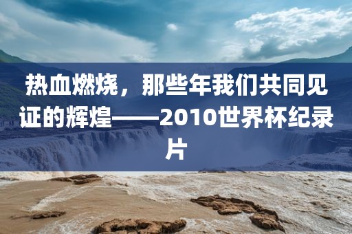 热血燃烧，那些年我们共同见证的辉煌——2010世界杯纪录片眉山市正发家政服务有限公司
