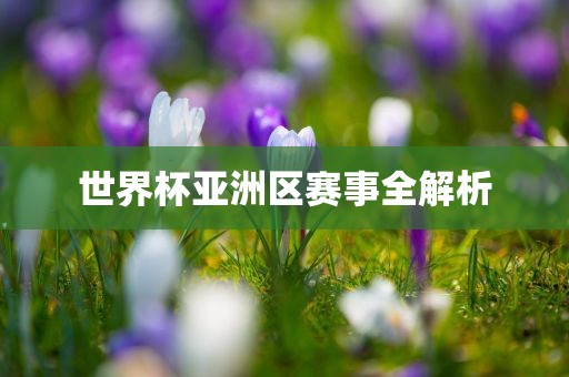 世界杯亚洲区赛事全解析