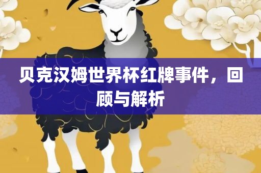 贝克汉姆世界杯红眉山市正发家政服务有限公司牌事件，回顾与解析