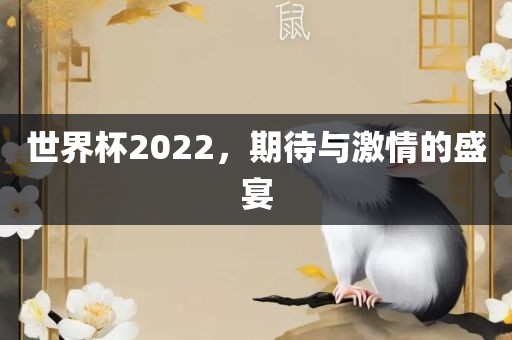 世界杯2022，期待与激情的盛宴眉山市正发家政服务有限公司