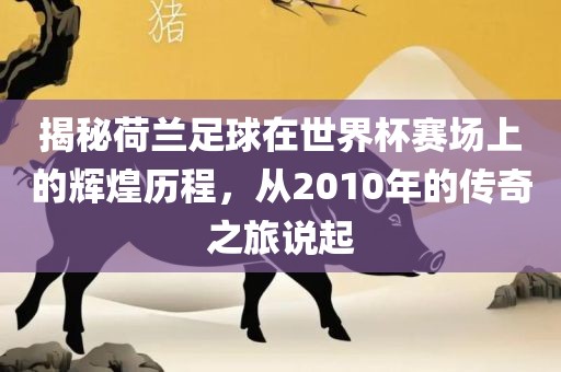 揭秘荷兰足球在世界杯赛场上的辉煌历程，从2010年的传奇之旅说起