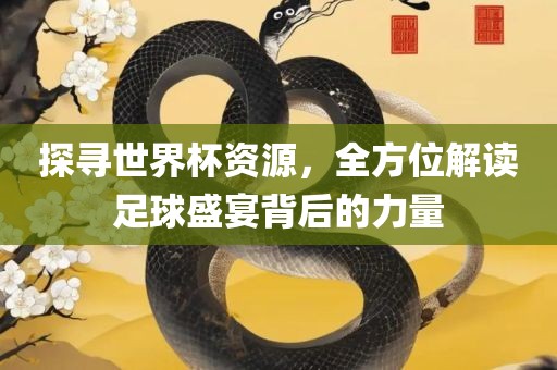 探寻世界杯资源，全方位解读足球盛宴背后的力量眉山市正发家政服务有限公司