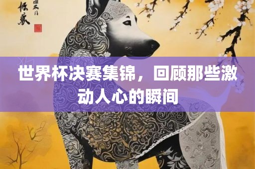 世界杯决赛集锦，回顾那些激动人心的瞬间眉山市正发家政服务有限公司