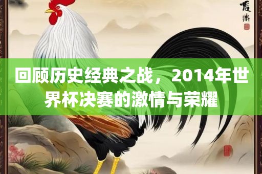 回顾历史经典之战，2014年世界杯决赛的激情与荣耀眉山市正发家政服务有限公司
