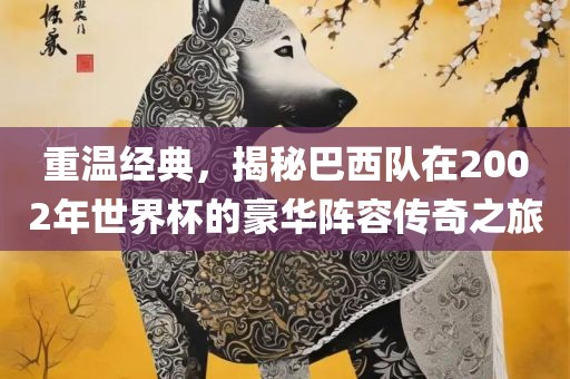 重温经典，揭秘巴西队在2002年世界杯的豪华阵容传奇之旅眉山市正发家政服务有限公司
