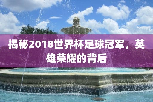 揭秘2018世界杯足球冠军，英雄荣耀的背后眉山市正发家政服务有限公司