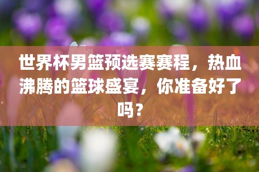 世界杯男篮预选赛赛眉山市正发家政服务有限公司程，热血沸腾的篮球盛宴，你准备好了吗？