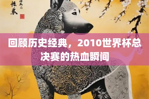 回顾历史经典，2010世界杯总决赛的热血瞬间眉山市正发家政服务有限公司