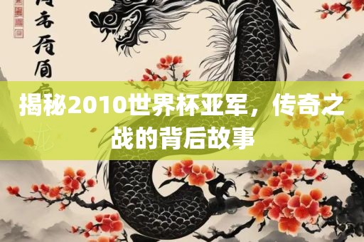 揭秘2010世界杯亚军，传奇之战的背后故事眉山市正发家政服务有限公司