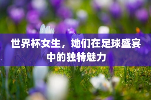 世界杯女生，她们在足球盛宴中的眉山市正发家政服务有限公司独特魅力