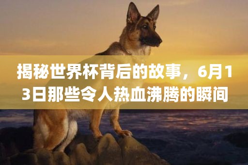 揭秘世界杯背后的故事，6月13日那些令人热血沸腾的瞬间眉山市正发家政服务有限公司