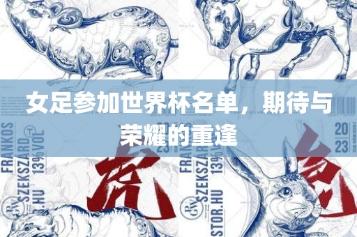 女足参加世界杯名单，期待与荣耀的重逢
