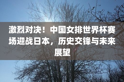 激烈对决！中国女排世界杯赛场迎战日本，历史交锋与未来眉山市正发家政服务有限公司展望