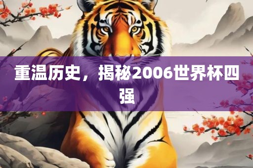 世界杯历史 第4页