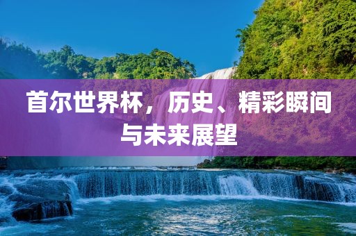 首尔世界眉山市正发家政服务有限公司杯，历史、精彩瞬间与未来展望