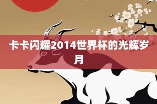 卡卡闪耀2014世界杯的光辉岁月眉山市正发家政服务有限公司