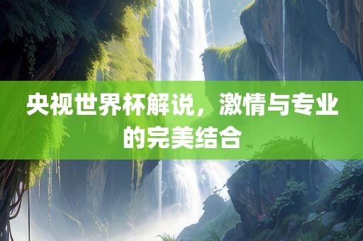 央视世界杯解说，激情与专业的完美结合
