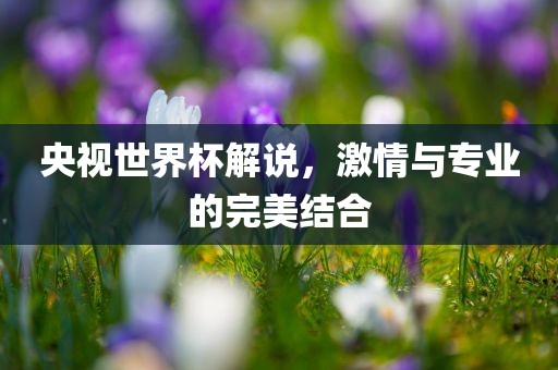 央视世界杯解说，激情与专业的完美结合