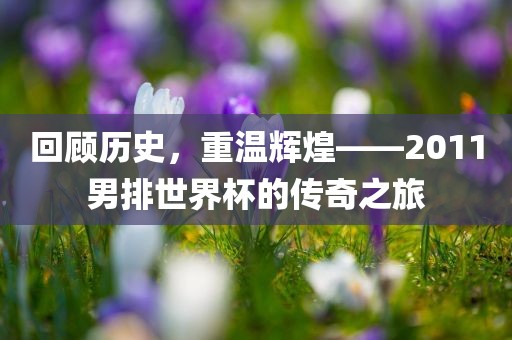 回顾历史，重温辉煌——2011男排世界杯的传奇之旅