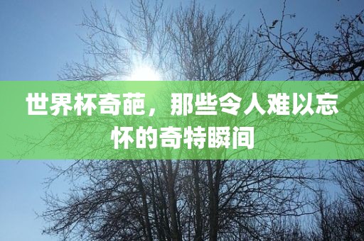 世界杯奇葩，那些令人难以忘怀的奇特瞬间眉山市正发家政服务有限公司
