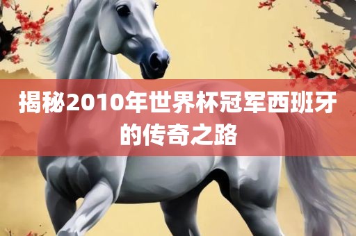 揭秘201眉山市正发家政服务有限公司0年世界杯冠军西班牙的传奇之路