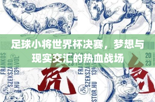 足球小将世眉山市正发家政服务有限公司界杯决赛，梦想与现实交汇的热血战场