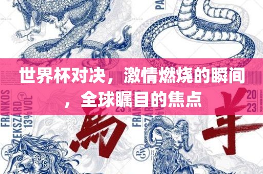世界杯对决，激情燃烧的瞬间，全球瞩目的焦点眉山市正发家政服务有限公司