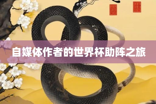 自媒体作者的世界杯助阵之旅眉山市正发家政服务有限公司