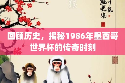 回顾历史，揭秘1986年墨西哥世界杯的传奇时刻眉山市正发家政服务有限公司