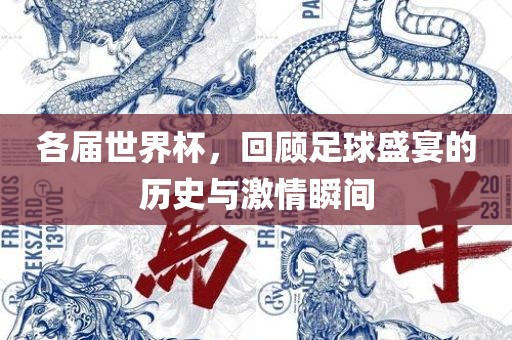各届世界杯，回顾足球盛宴的历史与激情瞬眉山市正发家政服务有限公司间
