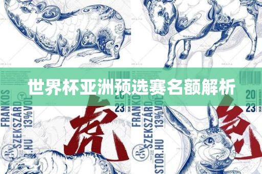 世界杯亚洲预选赛名额解析
