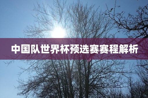 中国队世界杯预选赛赛程解析