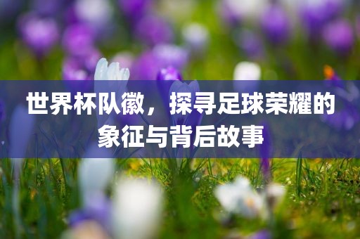 世界杯队徽，探寻足球荣耀的象征与背后故事眉山市正发家政服务有限公司
