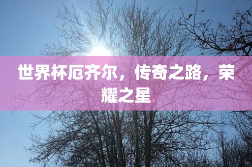 世界杯厄齐尔，传奇之路，荣耀之星眉山市正发家政服务有限公司