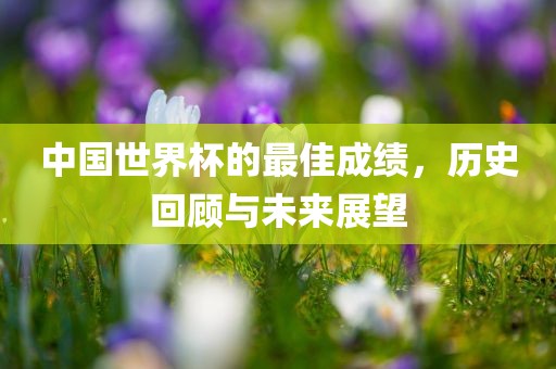 中国世界杯的最佳成绩，历史回顾与未来展望