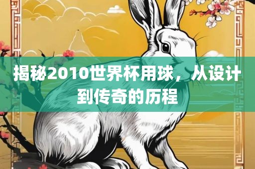 揭秘2010世界杯用球眉山市正发家政服务有限公司，从设计到传奇的历程