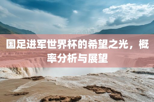 国足进军世界杯的希望之光，概率分析与展望眉山市正发家政服务有限公司