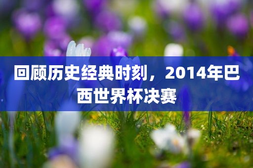 回顾历史经典时刻，2014年巴西世界杯决赛