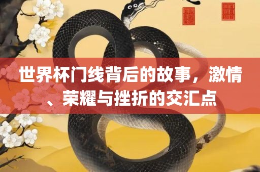 世界杯门线背后的故事，激情、荣耀与挫折的交汇点眉山市正发家政服务有限公司
