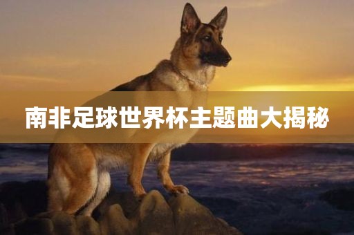 南非足球世界杯主题曲大揭秘眉山市正发家政服务有限公司