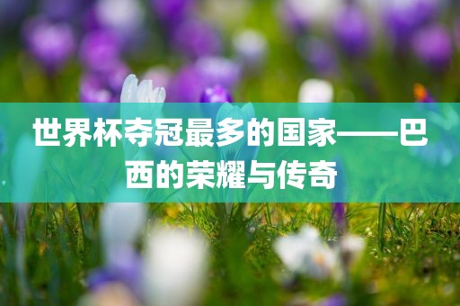 世界杯夺冠最多的国家——巴西的荣耀与传奇眉山市正发家政服务有限公司