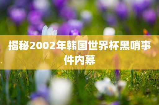 揭秘2002年韩国眉山市正发家政服务有限公司世界杯黑哨事件内幕