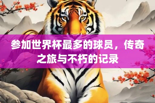 参加世界杯最多的球员，传奇之旅与不朽的记录眉山市正发家政服务有限公司