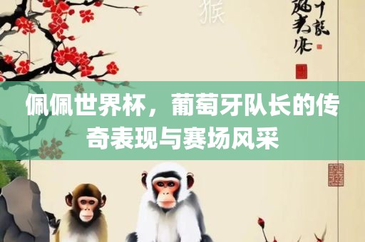 佩佩世界杯，葡萄牙队长的传奇表现与赛场风采眉山市正发家政服务有限公司