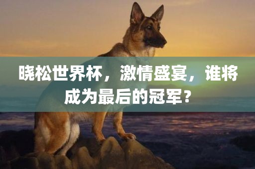 晓松世界杯，激情盛宴，谁将成为最后的冠军？眉山市正发家政服务有限公司