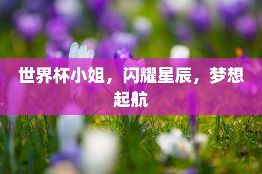 世界杯小姐，闪耀星辰，梦想起航眉山市正发家政服务有限公司