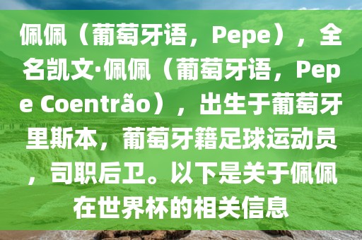 眉山市正发家政服务有限公司佩佩（葡萄牙语，Pepe），全名凯文·佩佩（葡萄牙语，Pepe Coentr?o），出生于葡萄牙里斯本，葡萄牙籍足球运动员，司职后卫。以下是关于佩佩在世界杯的相关信息